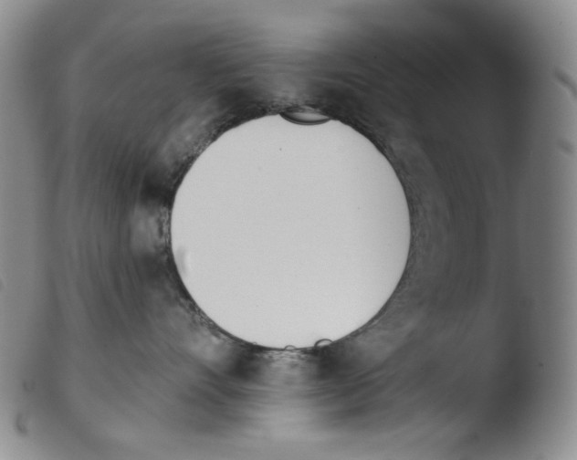 X0000103490528200810241104