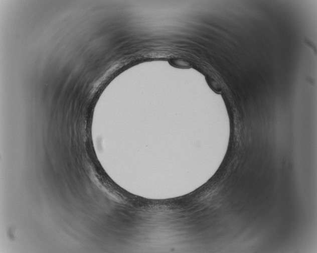 X0000103490530200810241103