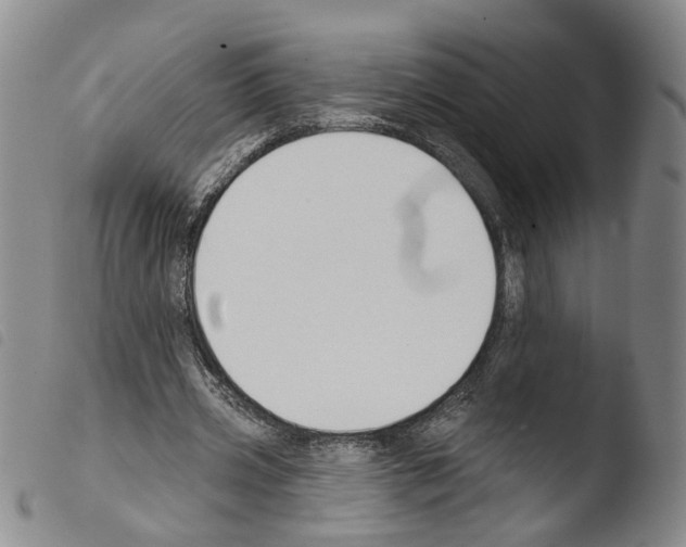 X0000103490533200810241104