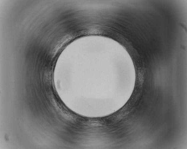 X0000103490534200810241104