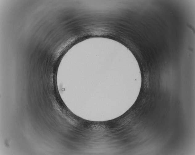 X0000103490535200810241104