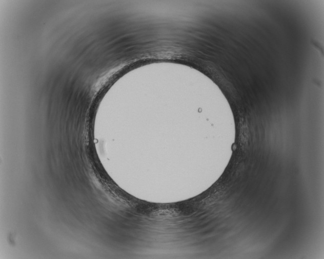 X0000103490536200810241104