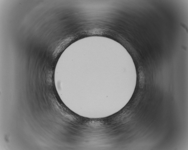 X0000103490537200810241104
