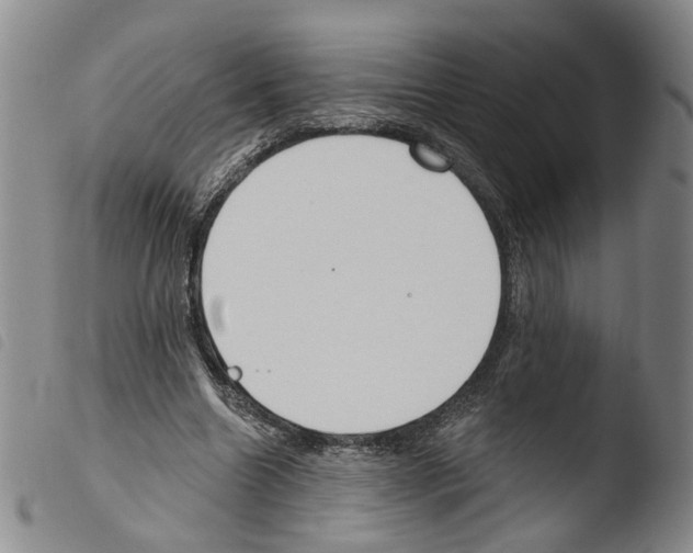 X0000103490538200810241104