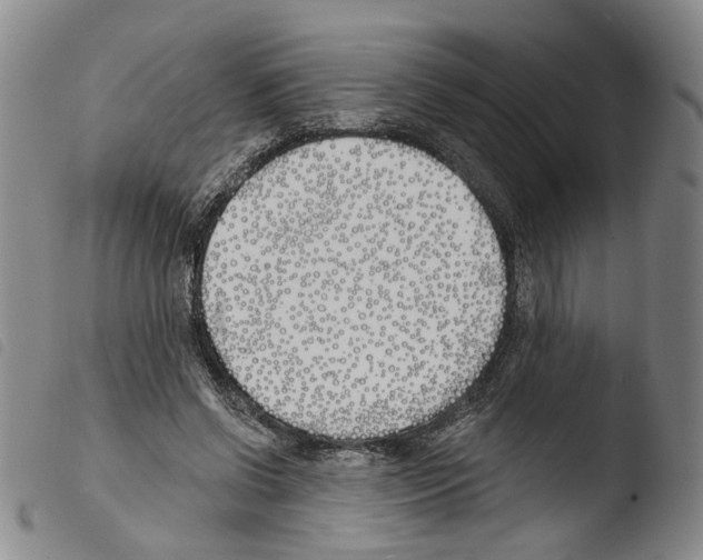 X0000103490542200810241104