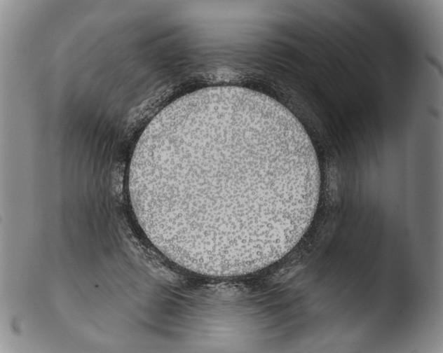 X0000103490545200810241104