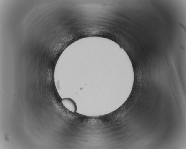 X0000103490546200810241104