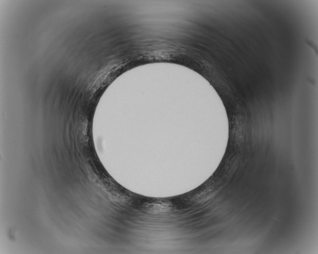 X0000103490548200810241104