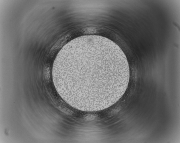 X0000103490549200810241104