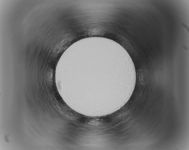 X0000103490550200810241104