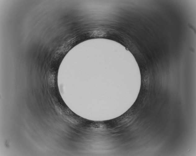 X0000103490551200810241104