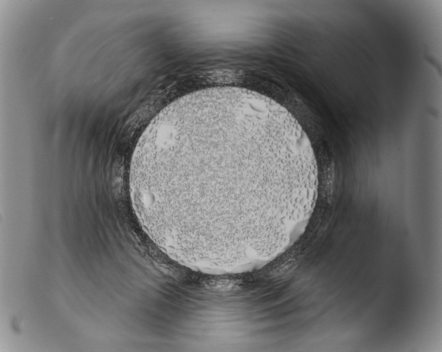 X0000103490553200810241104