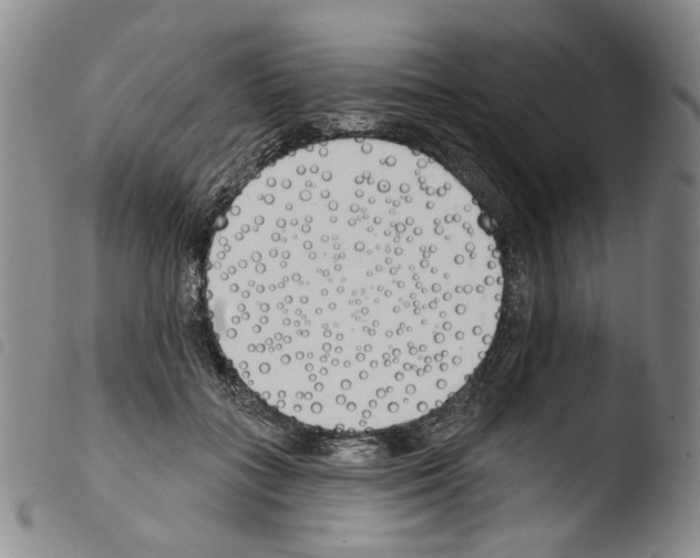 X0000103490555200810241104