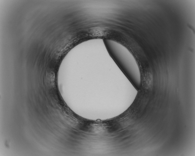 X0000103490556200810241104