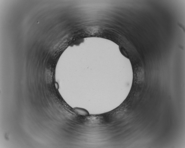 X0000103490558200810241104