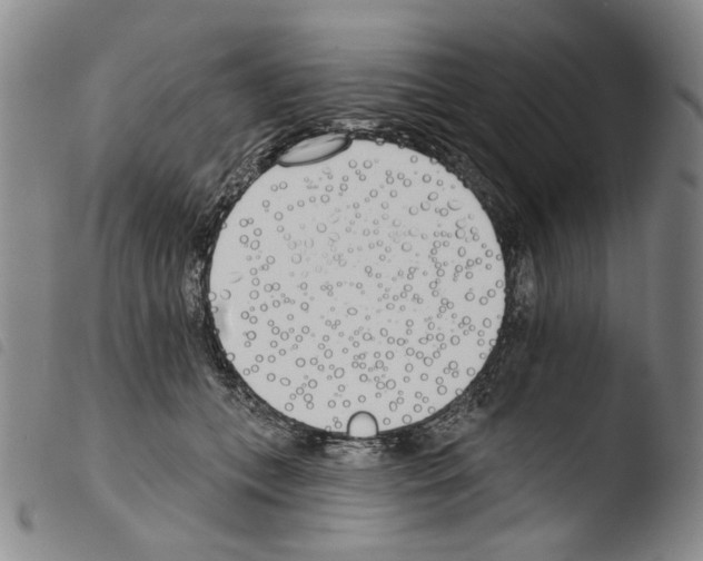 X0000103490559200810241104