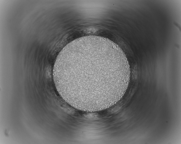 X0000103490561200810241104