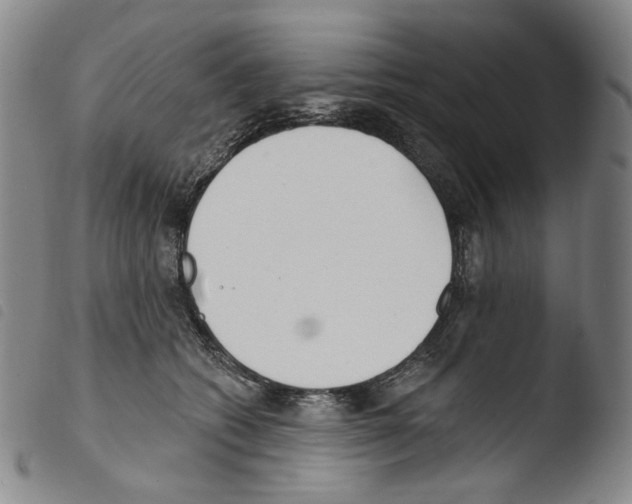X0000103490562200810241104