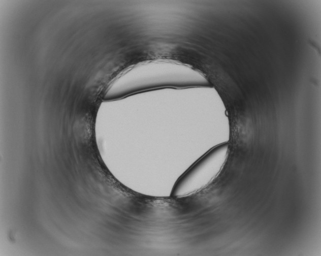 X0000103490566200810241104