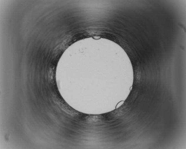 X0000103490567200810241104