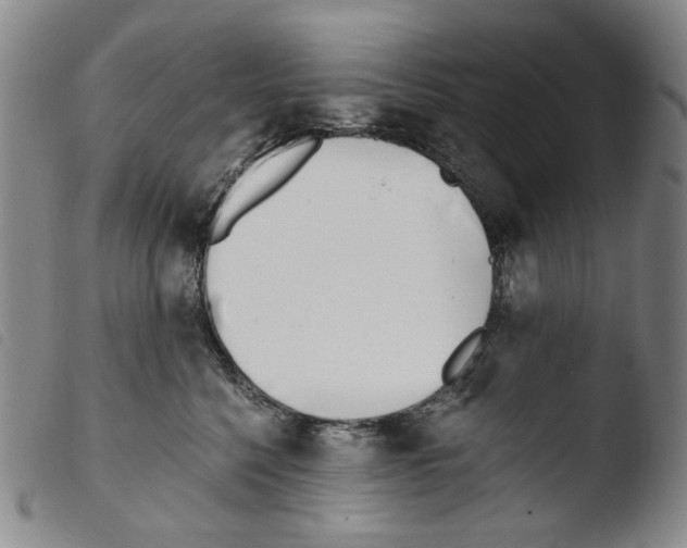 X0000103490568200810241104