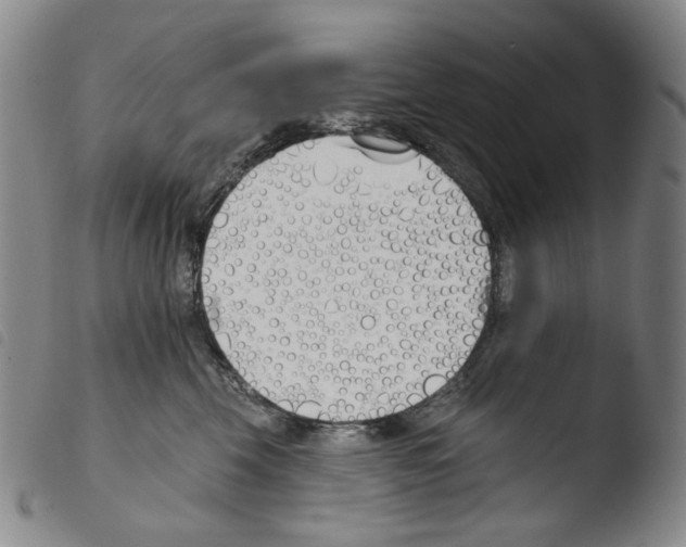 X0000103490569200810241104