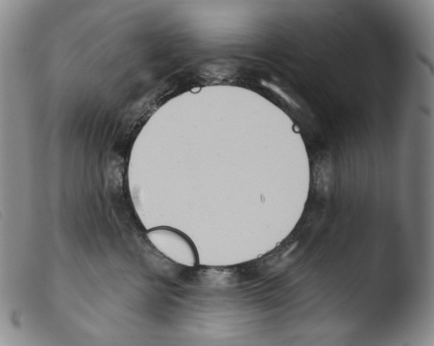 X0000103490570200810241104