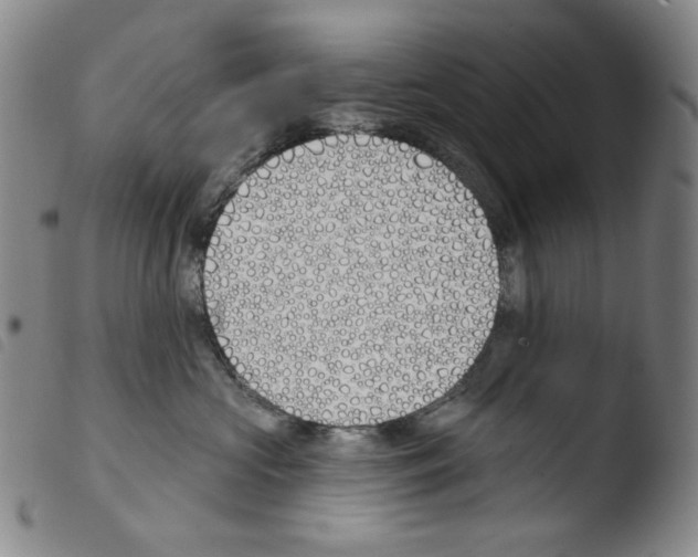 X0000103490573200810241104