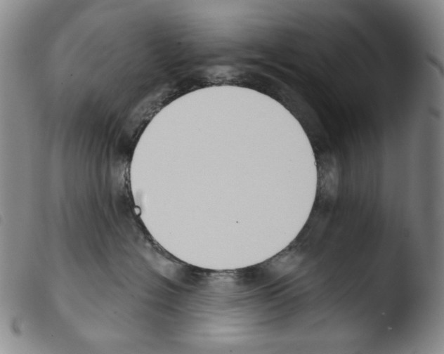 X0000103490574200810241104