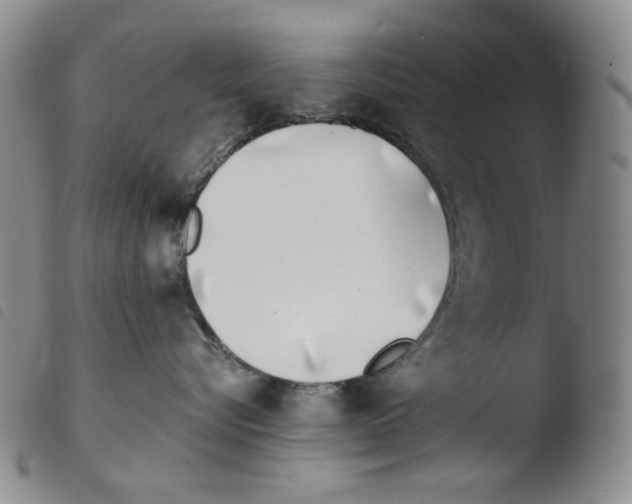 X0000103490576200810241104
