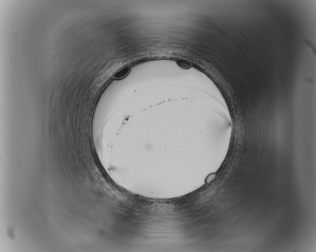 X0000103490577200810241103
