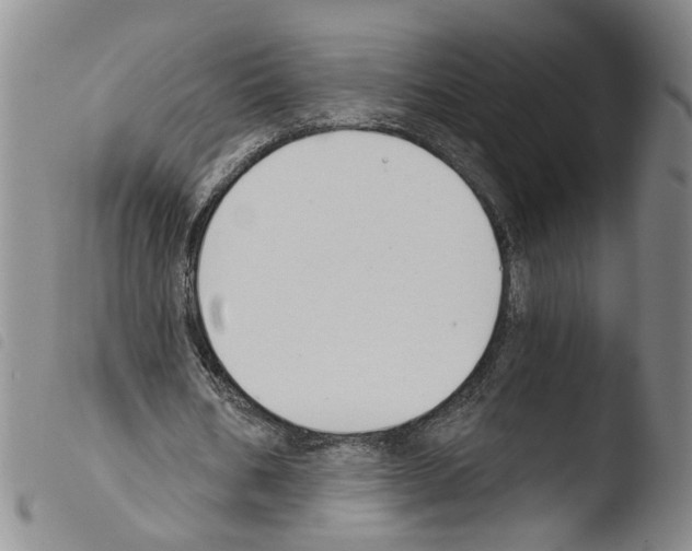 X0000103490578200810241103