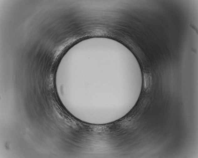 X0000103490579200810241103
