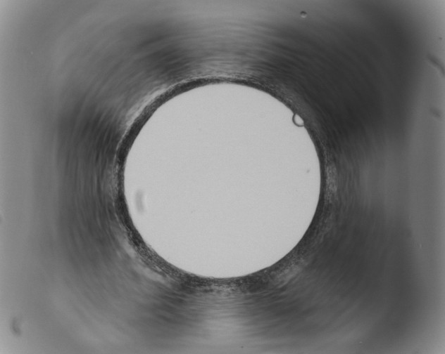 X0000103490580200810241103