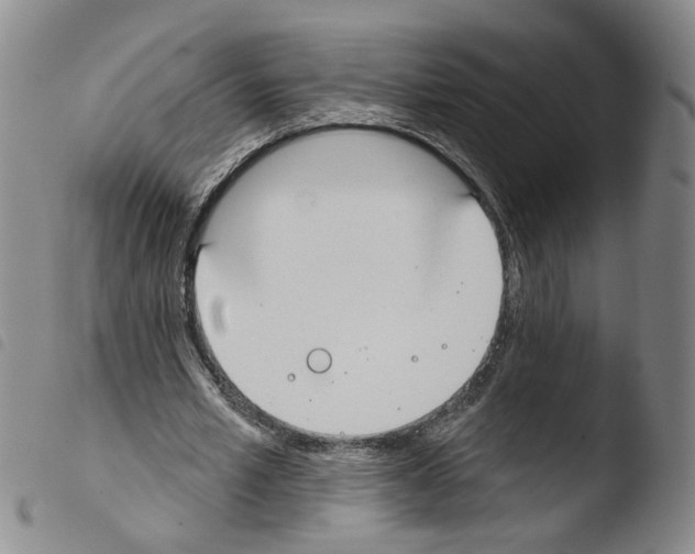 X0000103490581200810241103