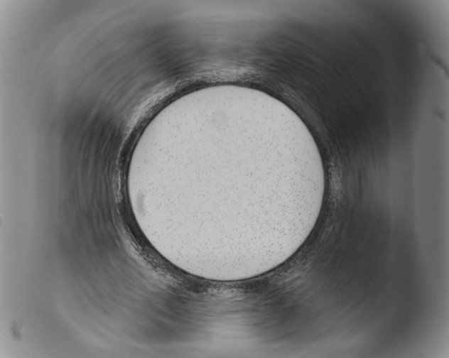 X0000103490582200810241103