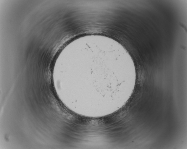X0000103490584200810241103