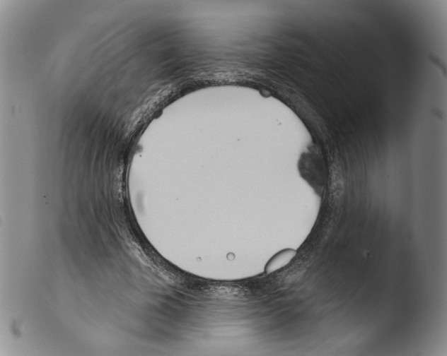 X0000103490585200810241103