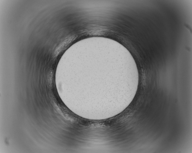 X0000103490586200810241103