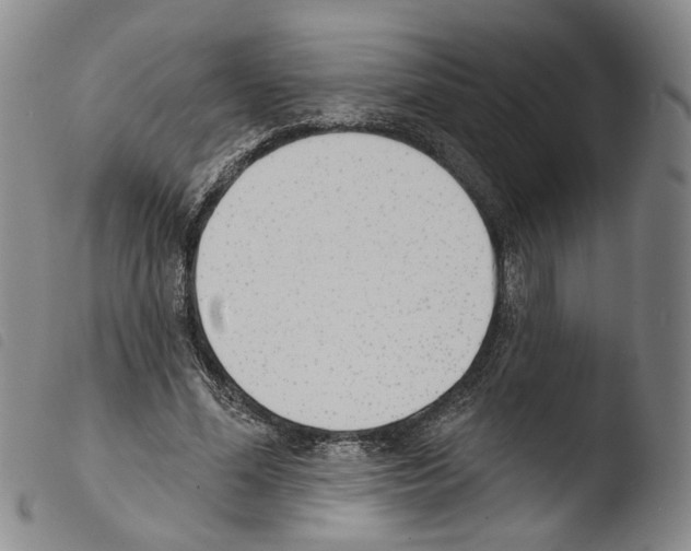 X0000103490588200810241103