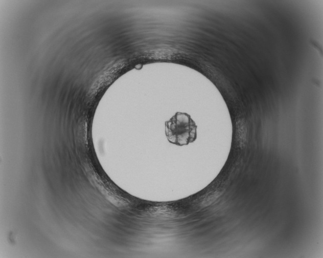 X0000103490589200810241103