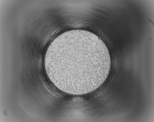 X0000103490591200810241103