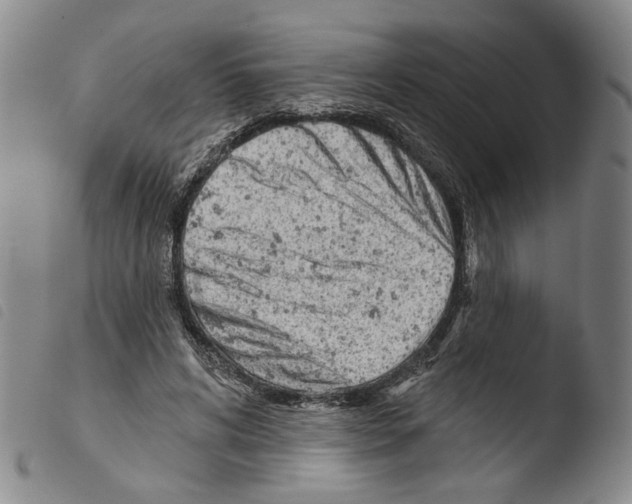 X0000103490592200810241103