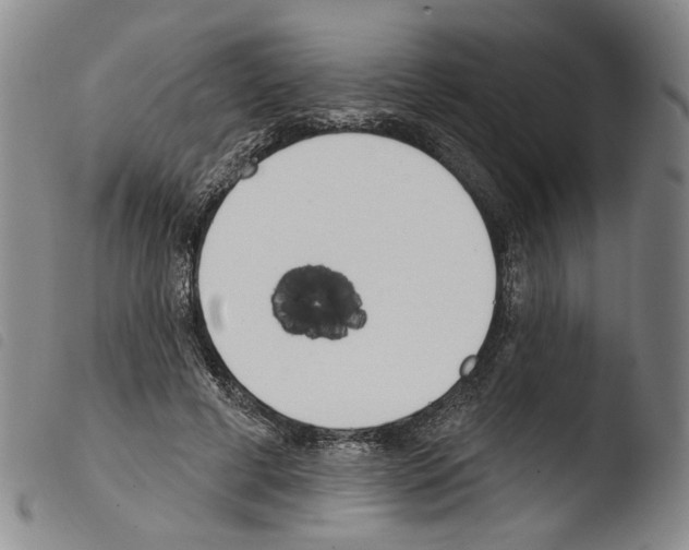 X0000103490593200810241103