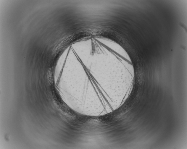 X0000103490594200810241103