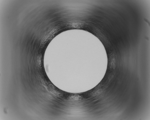 X0000103490595200810241103