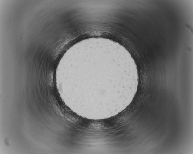 X0000103490596200810241103