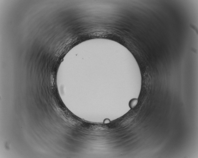 X0000103490597200810241103