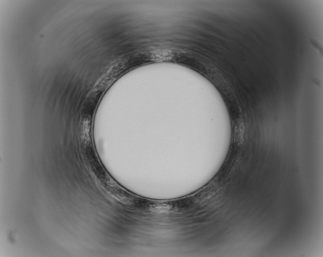 X0000103490598200810241103