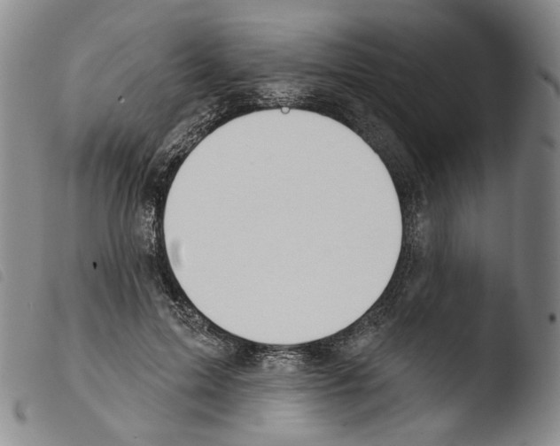 X0000103490599200810241103
